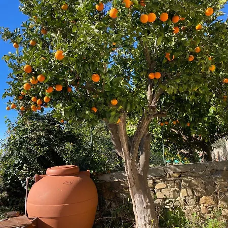 アパート Le Dimore Di Piazza Torre トルキアーラ